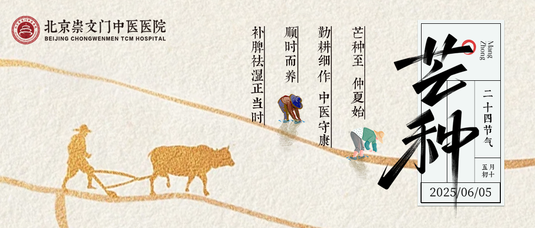 芒种时节多湿热，健脾祛湿清心火