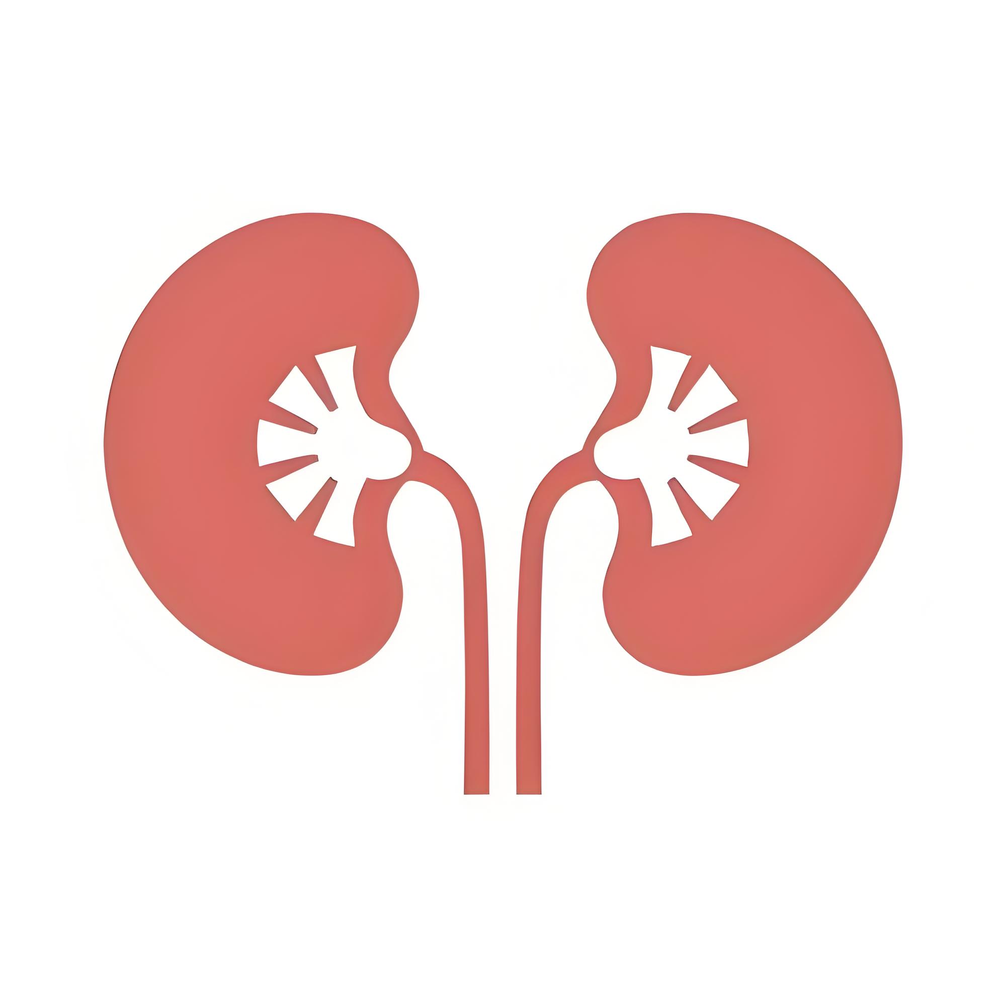 肾病早期不只脚肿?身上这5个信号要警惕!