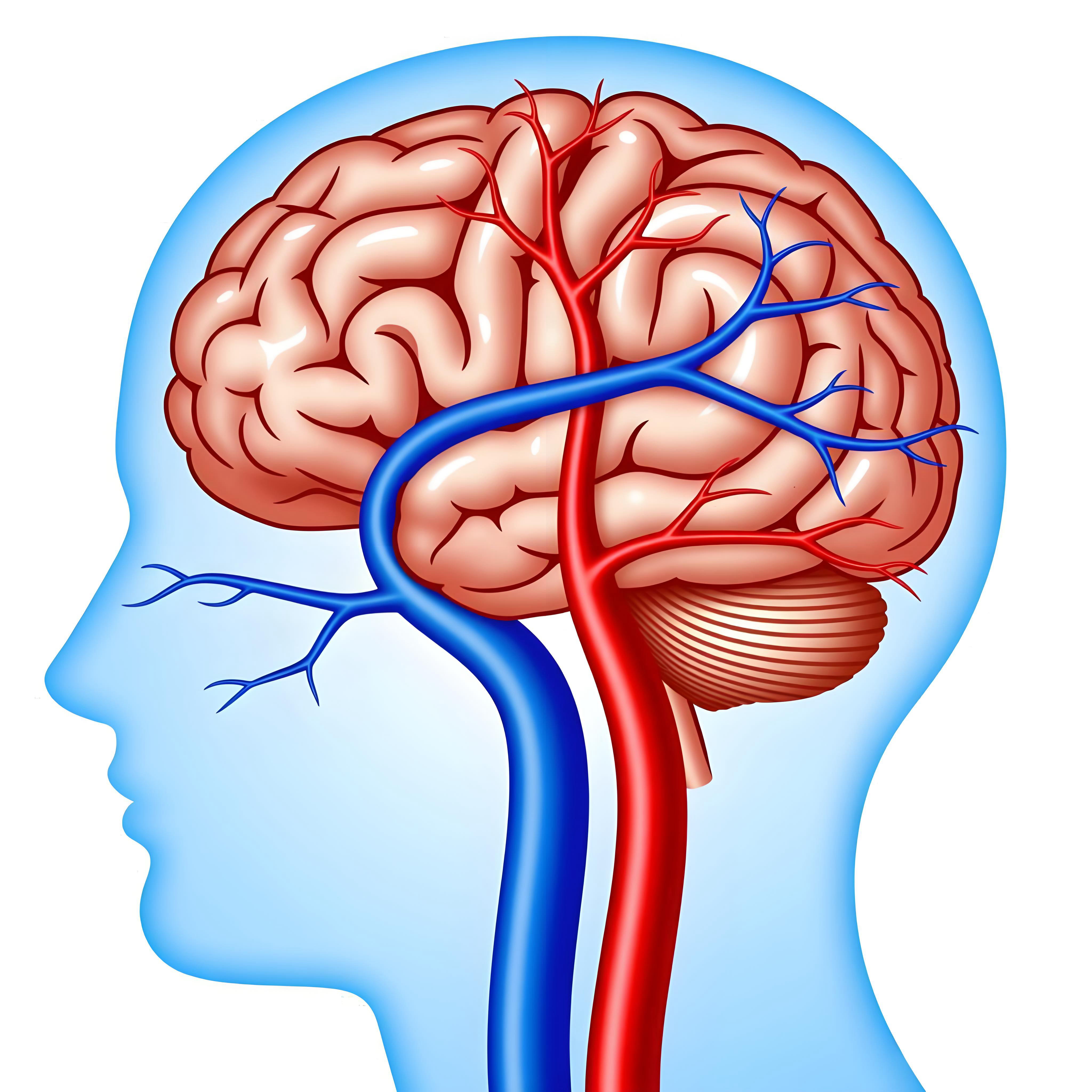 预防脑血管病，先控住这五大危险因素