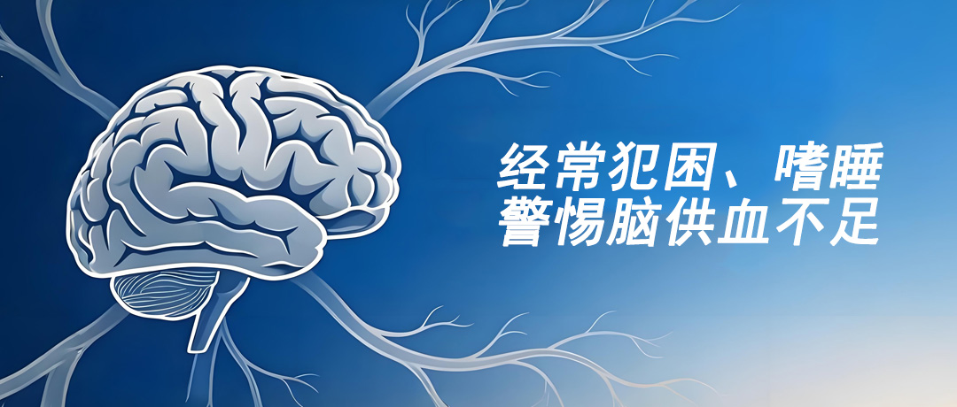经常犯困嗜睡，可能是脑部供血不足所致